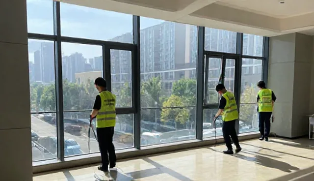 日常保洁与消杀:维护策略的取舍与实际应用