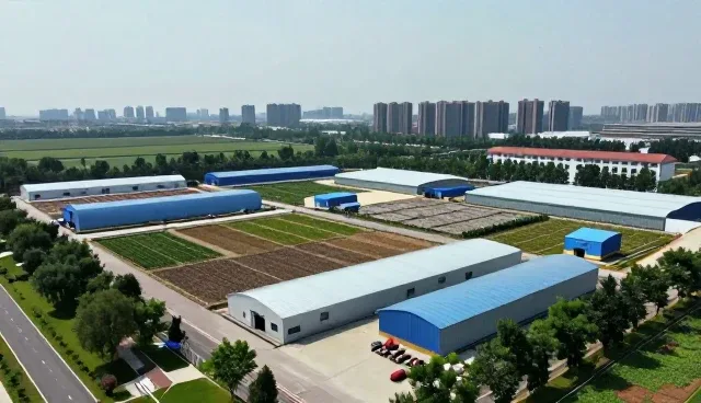 消杀服务中的安全操作如何影响实际应用效果